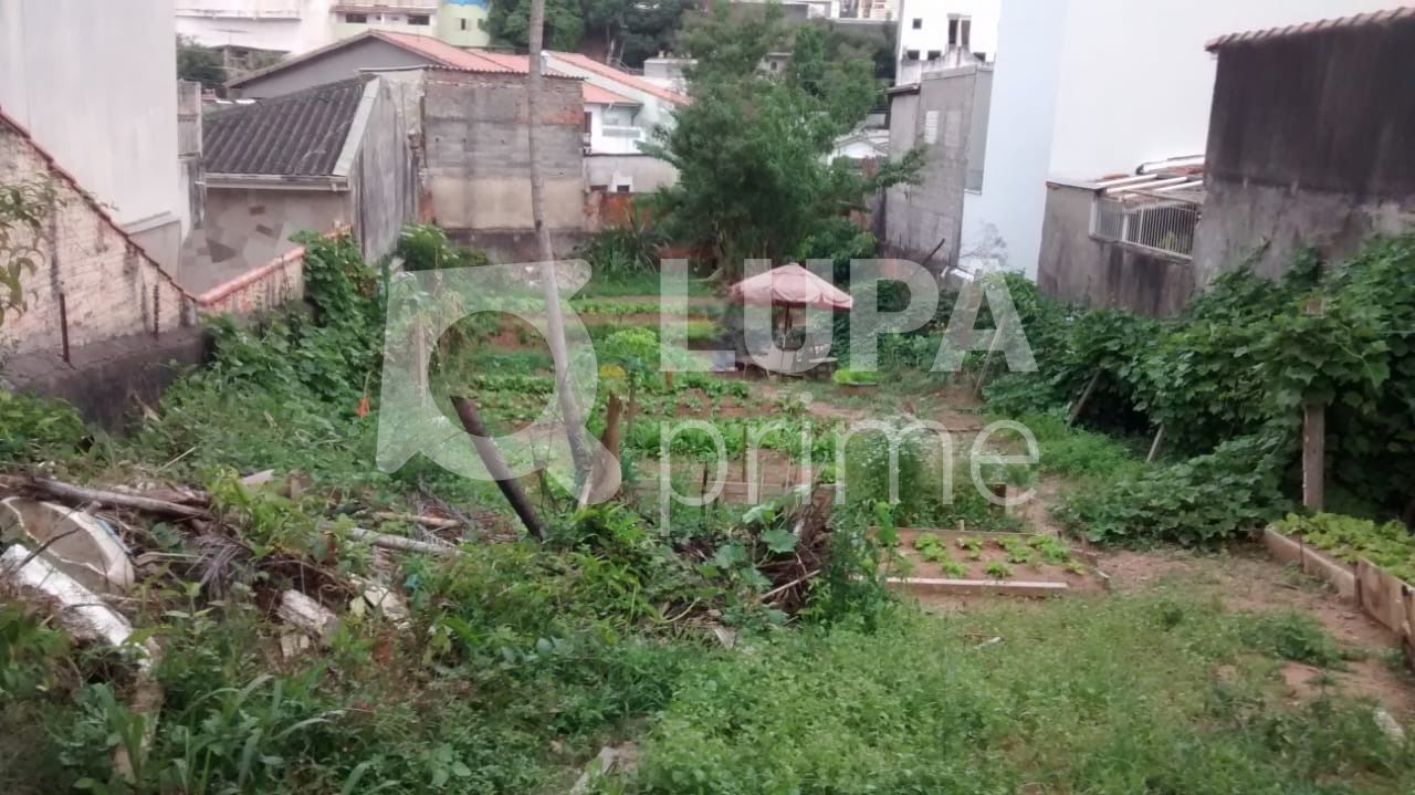 terreno-venda-sao-paulo-tremembe-LM23932