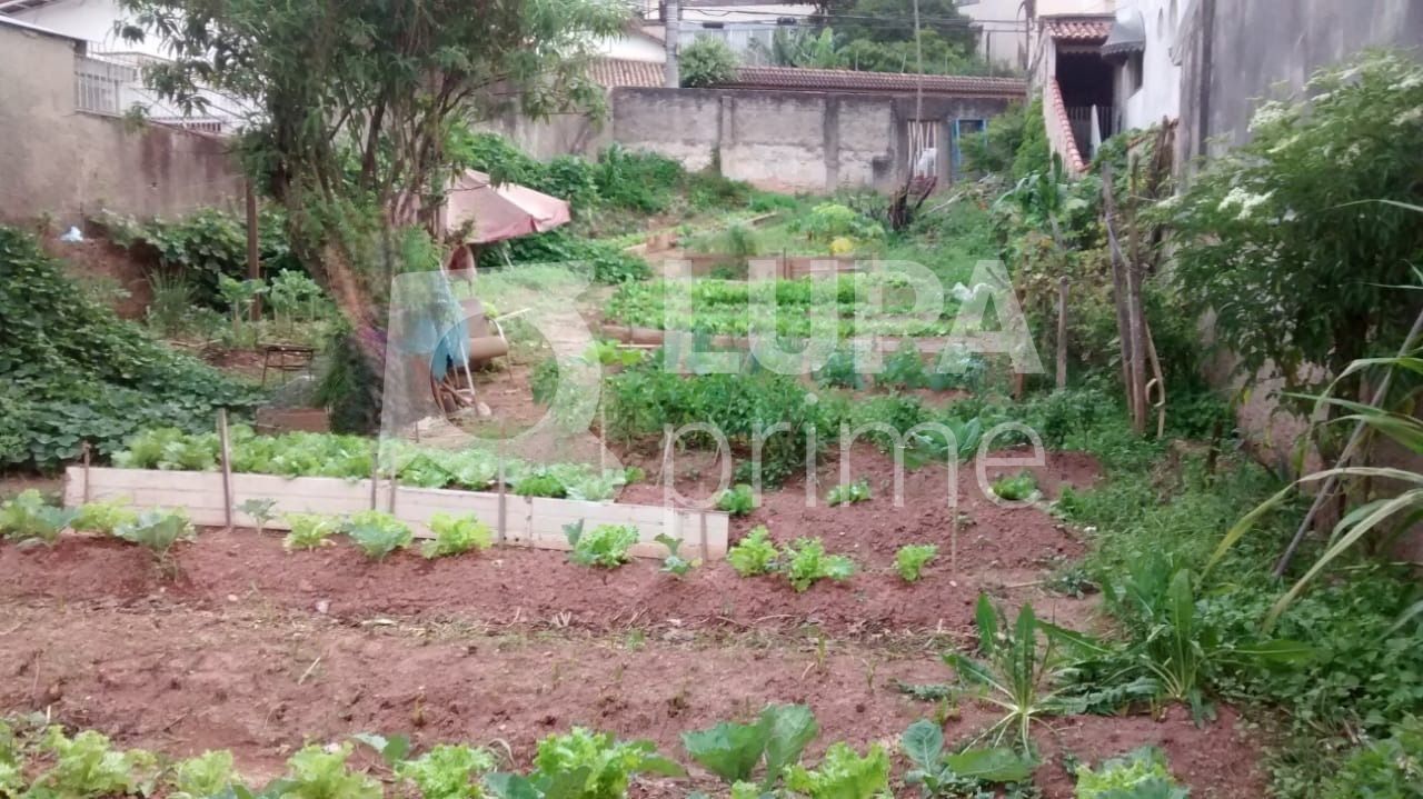 terreno-venda-sao-paulo-tremembe-LM23932