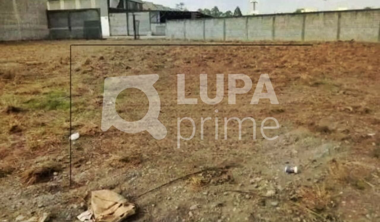 Depósito-Galpão, 1600 m² - Foto 3