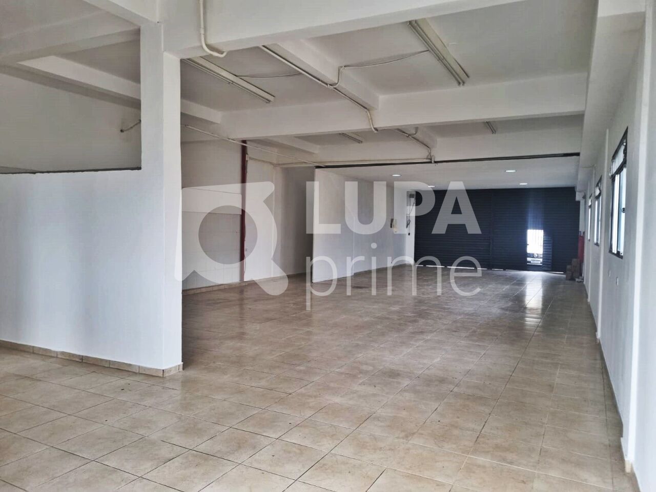 galpao-locacao-sao-paulo-vila-maria-alta-2vagas-215m2-LM24136