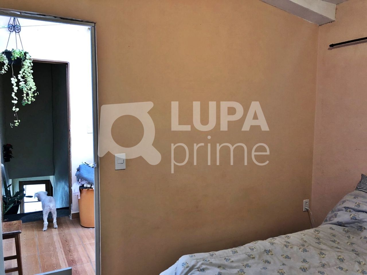 sobrado-venda-sao-paulo-vila-maria-alta-4dormitorios-6vagas-220m2-LM24150