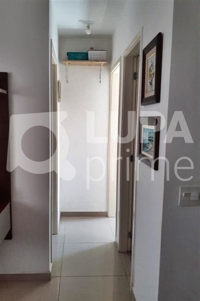 apartamento-venda-sao-paulo-casa-verde-2dormitorios-37m2-LM24157