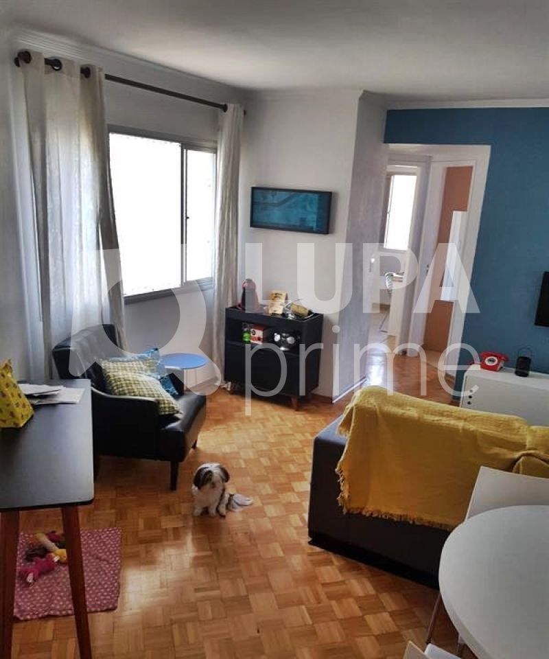 apartamento-venda-sao-paulo-jardim-maristela-2dormitorios-1vaga-50m2-LM24283