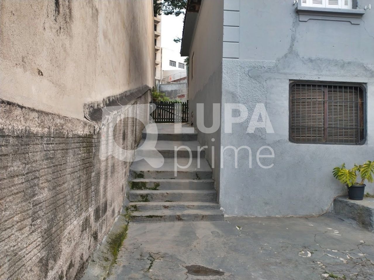 terreno-venda-sao-paulo-vila-maria-alta-110m2-LM24351