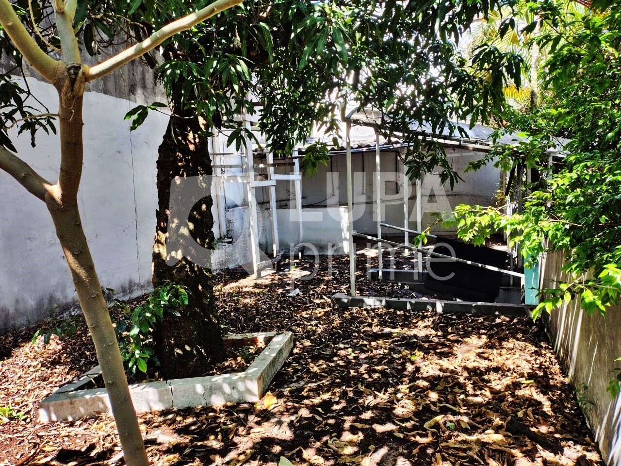 casa-terrea-venda-sao-paulo-vila-isolina-mazzei-8dormitorios-2vagas-268m2-LM24541