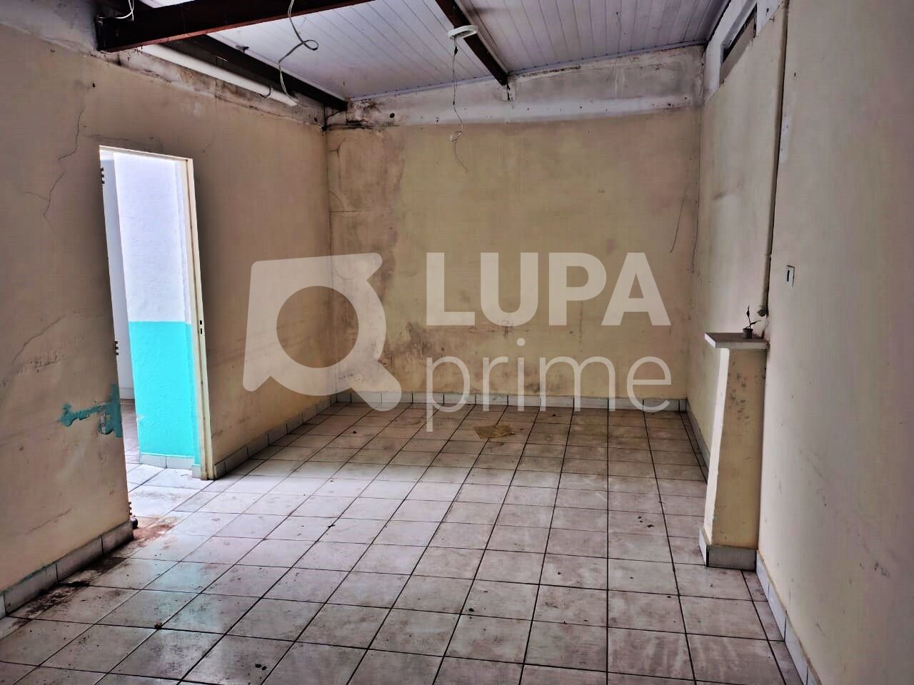 casa-terrea-venda-sao-paulo-vila-isolina-mazzei-8dormitorios-2vagas-268m2-LM24541