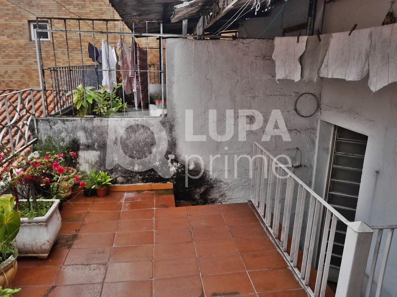 casa-terrea-venda-sao-paulo-agua-fria-2dormitorios-1vaga-110m2-LM24627