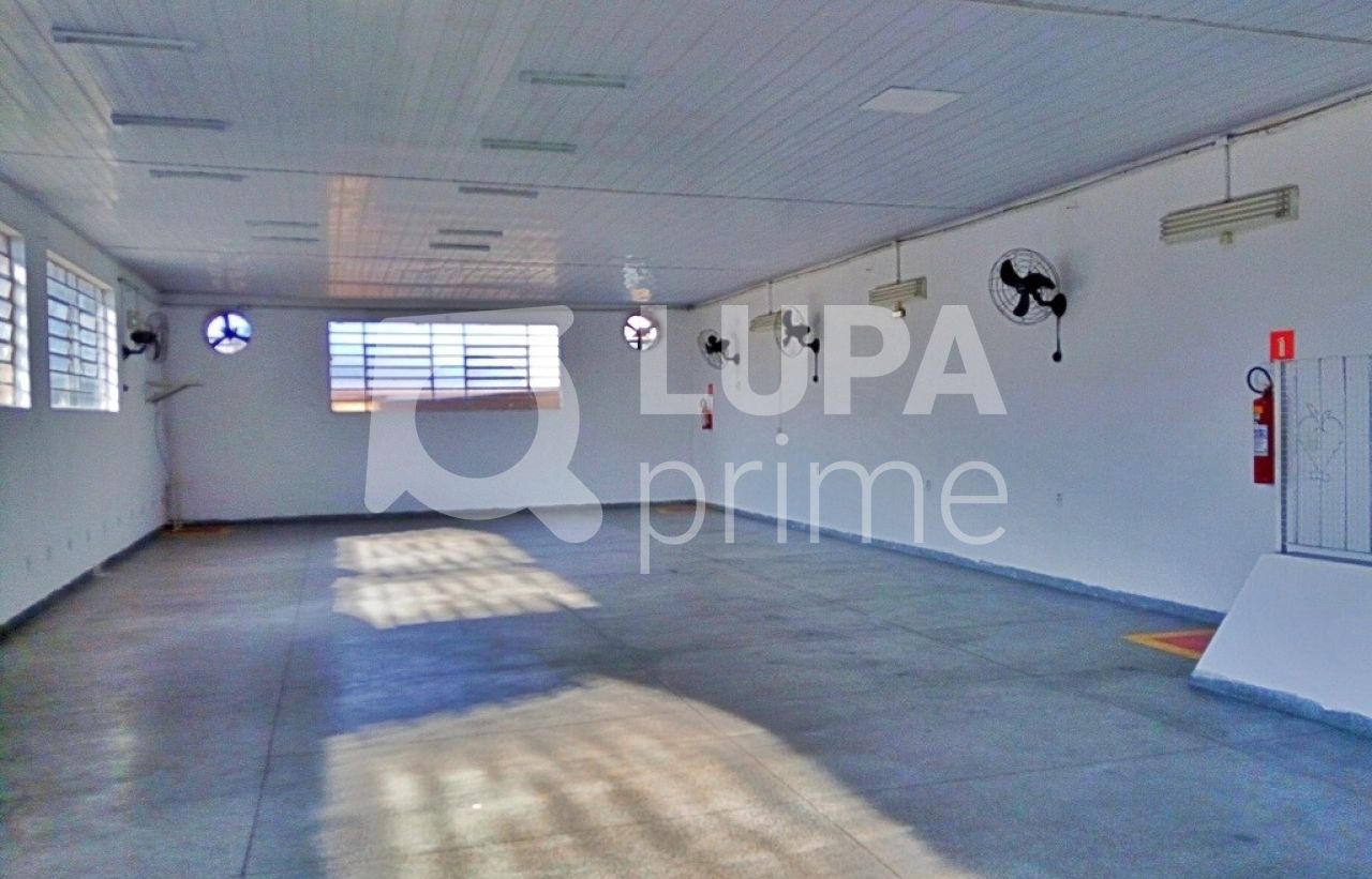 Loja-Salão, 220 m² - Foto 3