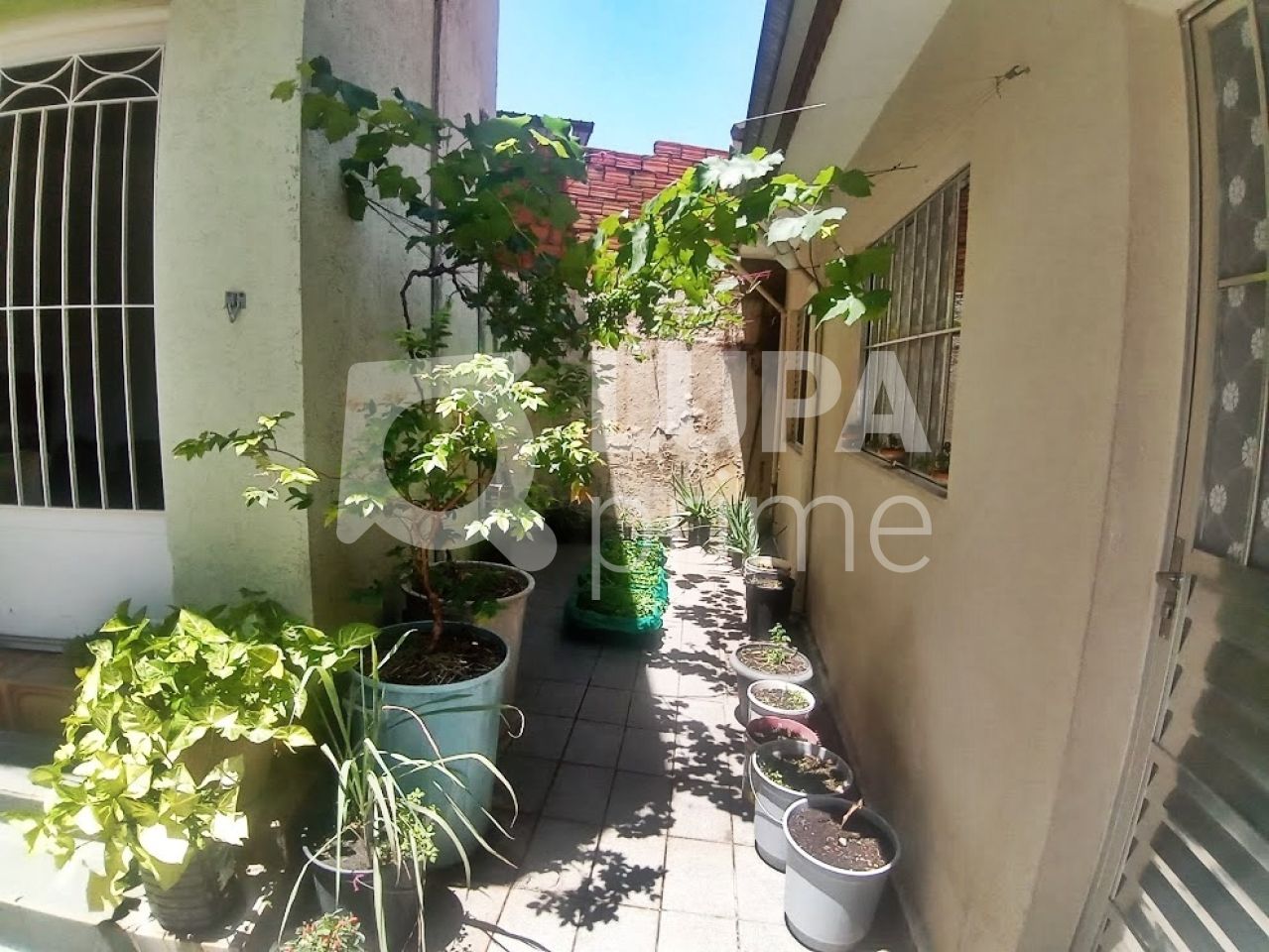 casa-terrea-venda-sao-paulo-vila-maria-alta-5dormitorios-1vaga-239m2-LM24665