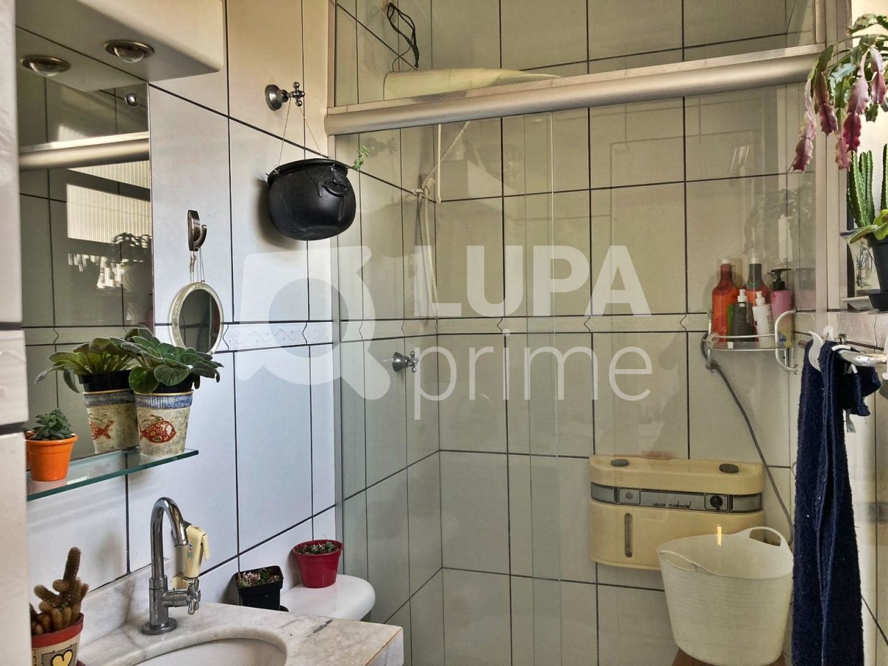 apartamento-venda-sao-paulo-limao-2dormitorios-1suite-81m2-LM24767