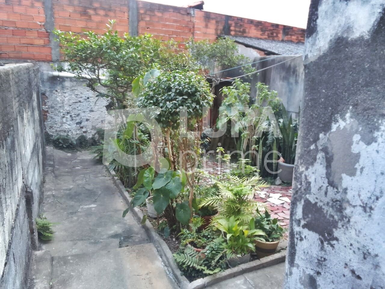 casa-terrea-venda-sao-paulo-vila-maria-alta-2dormitorios-1vaga-126m2-LM24811