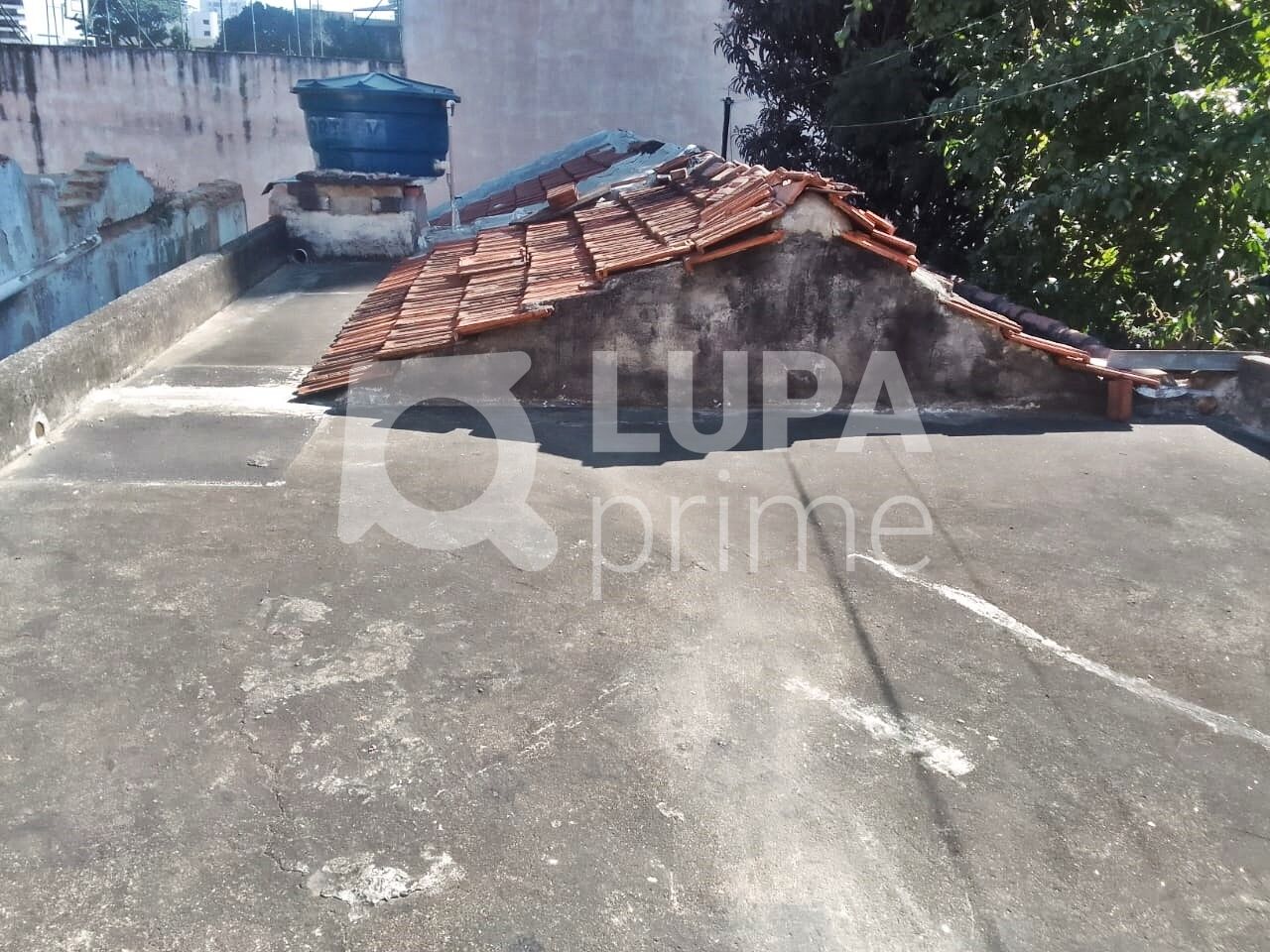 casa-terrea-venda-sao-paulo-vila-maria-alta-2dormitorios-1vaga-126m2-LM24811