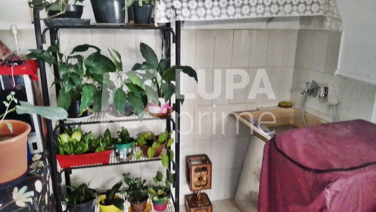 Casa, 3 quartos, 100 m² - Foto 12
