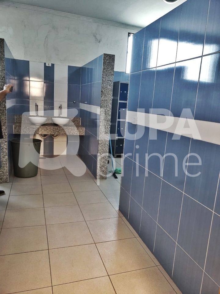 galpao-locacao-sao-paulo-vila-maria-baixa-5vagas-800m2-LM25052