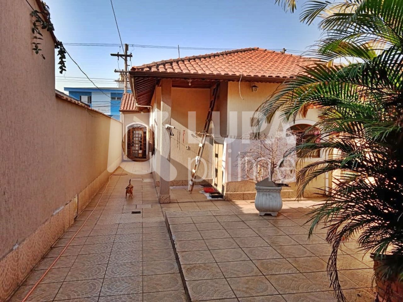 sobrado-venda-sao-paulo-jacana-6dormitorios-3suites-2vagas-308m2-LM25105