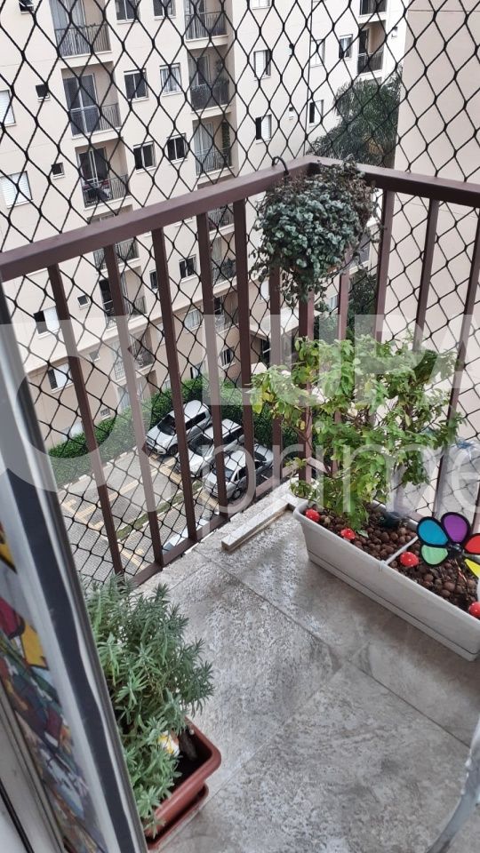 apartamento-venda-sao-paulo-mandaqui-2dormitorios-1vaga-55m2-LM25176