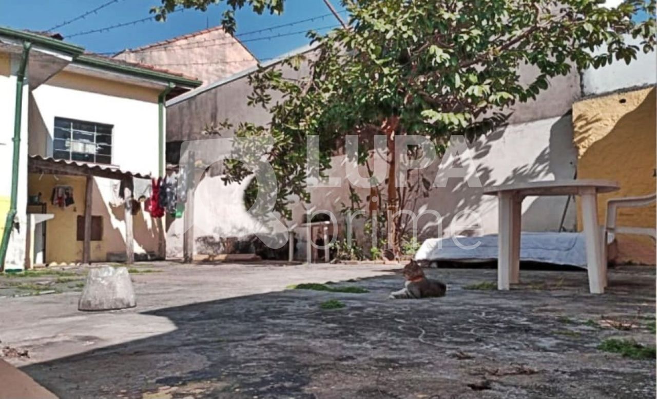 predio-venda-sao-paulo-vila-gustavo-363m2-LM25202