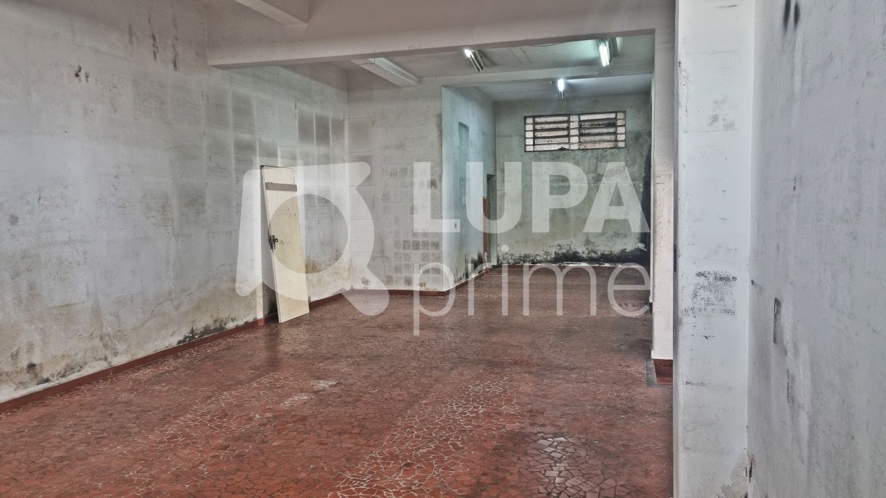 salao-locacao-sao-paulo-vila-ede-10vagas-350m2-LM25257