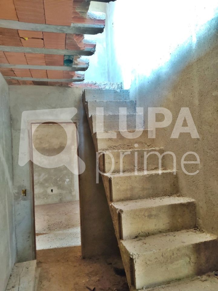 Casa, 5 quartos, 260 m² - Foto 4