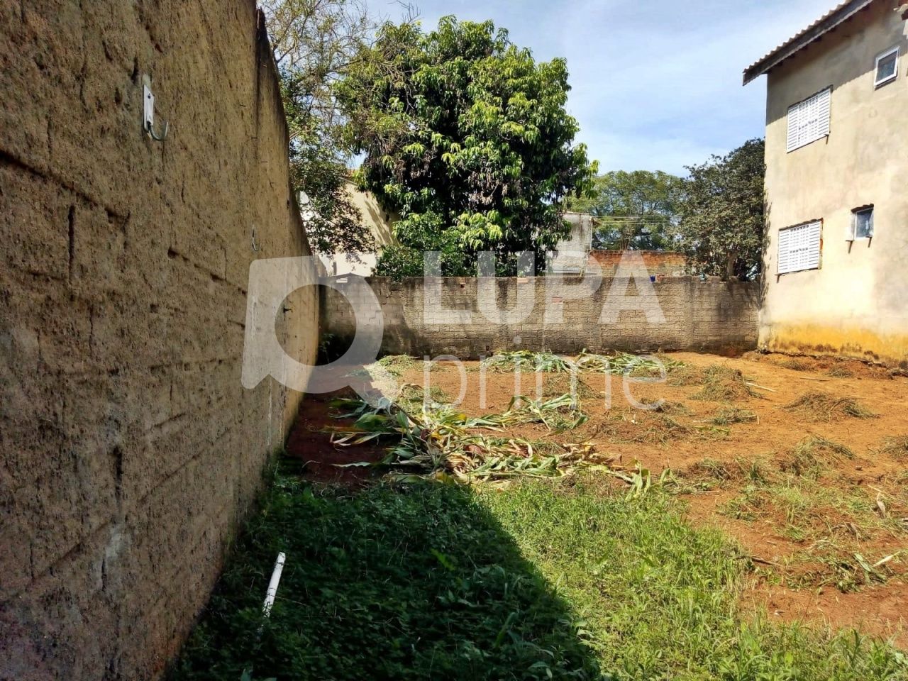 Casa, 5 quartos, 260 m² - Foto 6