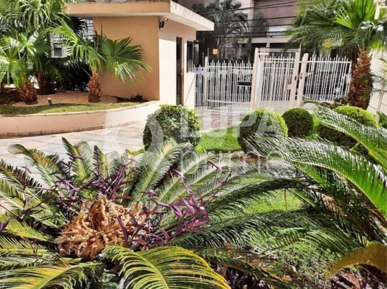 apartamento-venda-sao-paulo-santana-2dormitorios-1suite-1vaga-61m2-LM25357