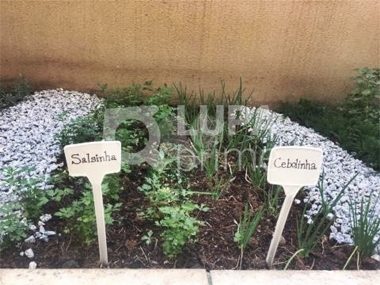 apartamento-venda-sao-paulo-santana-2dormitorios-1suite-1vaga-61m2-LM25357