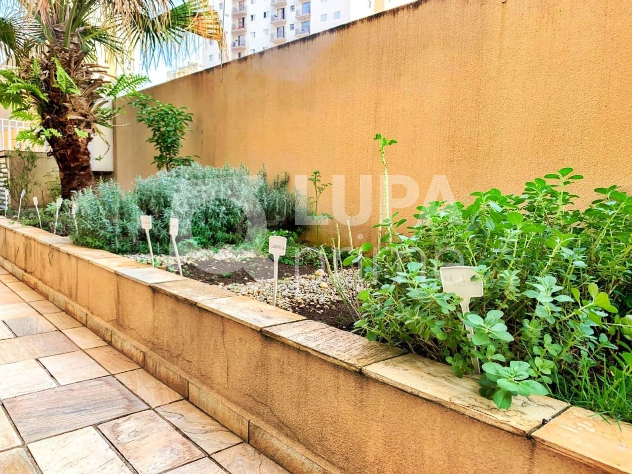 apartamento-venda-sao-paulo-santana-2dormitorios-1suite-1vaga-61m2-LM25357