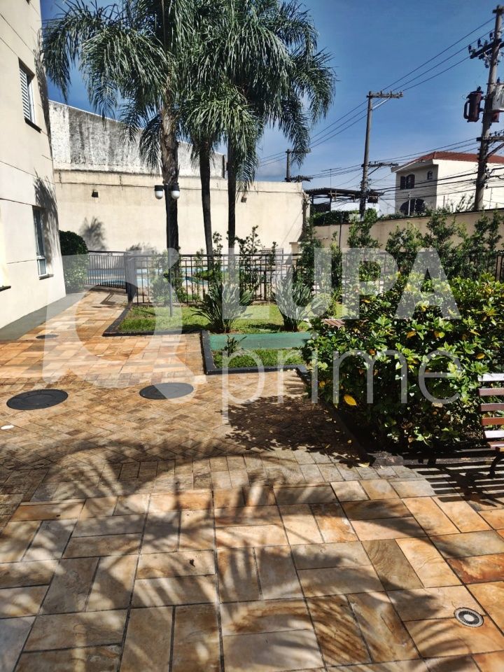 apartamento-venda-sao-paulo-vila-maria-alta-3dormitorios-1suite-1vaga-65m2-LM25377