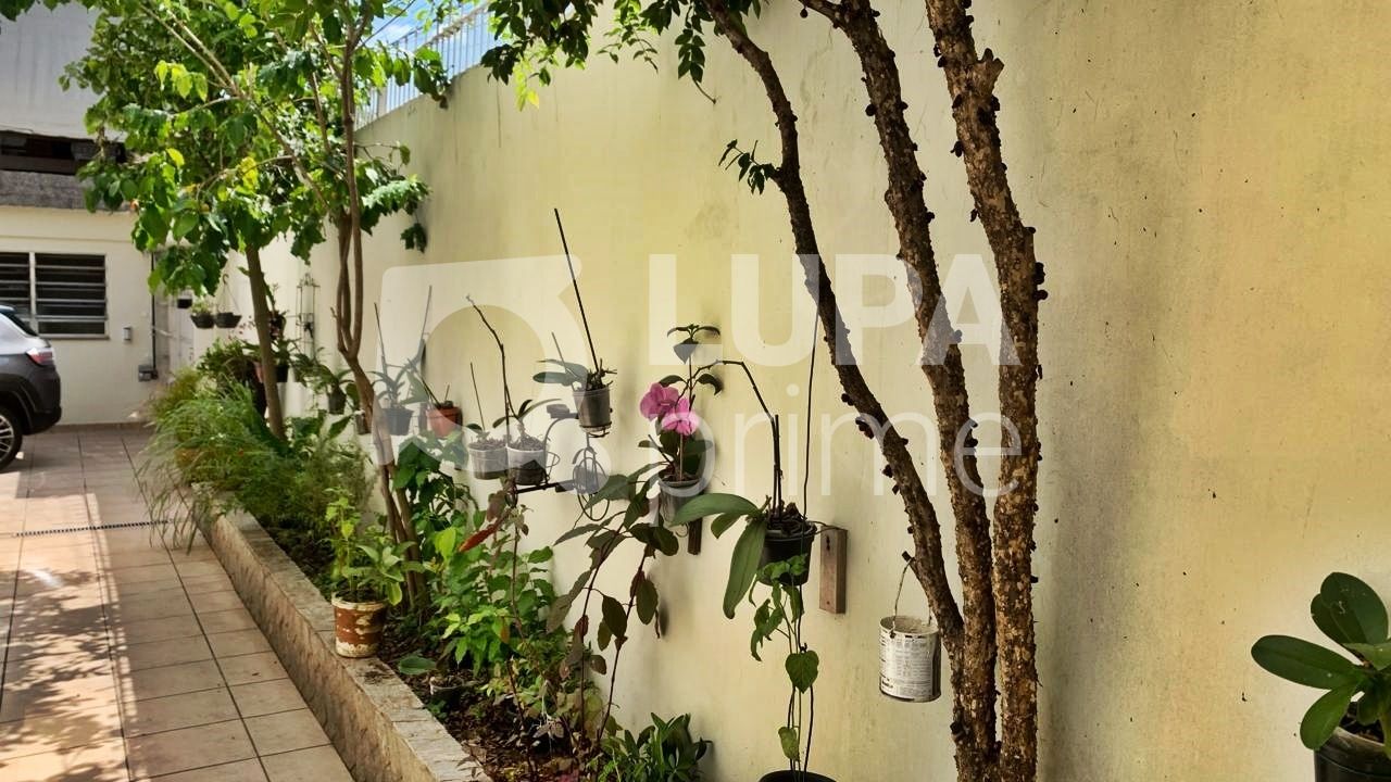 sobrado-venda-sao-paulo-parque-novo-mundo-3dormitorios-1suite-3vagas-203m2-LM25443