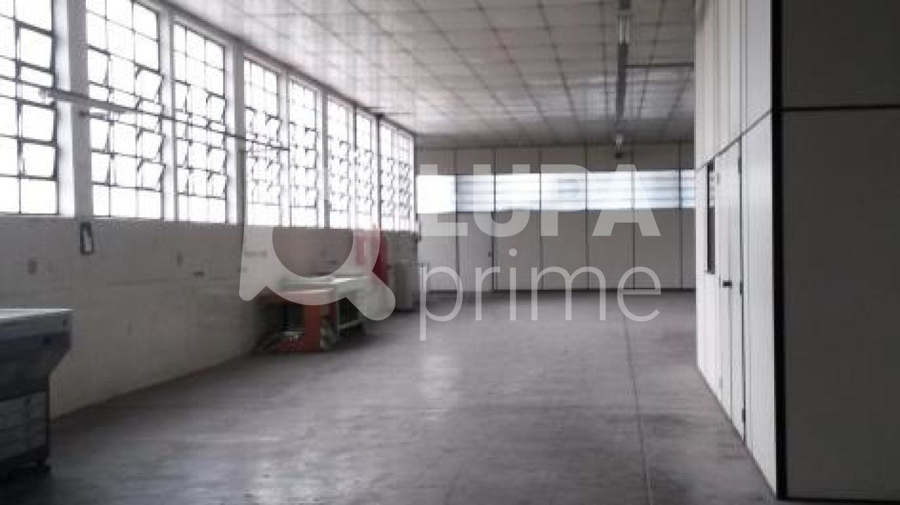 Sala-Conjunto, 1150 m² - Foto 1