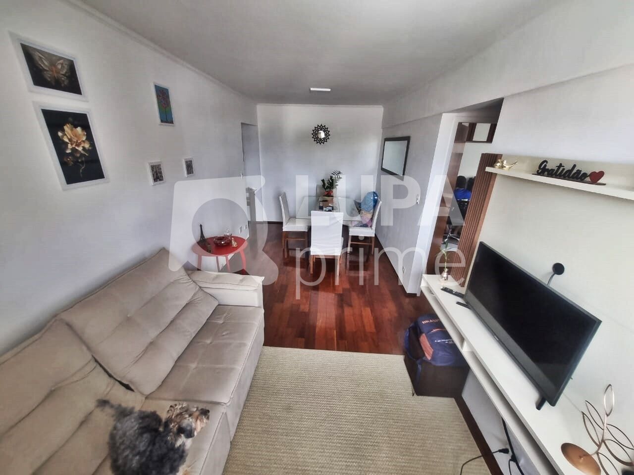 apartamento-venda-sao-paulo-vila-guilherme-2dormitorios-1vaga-63m2-LM25540