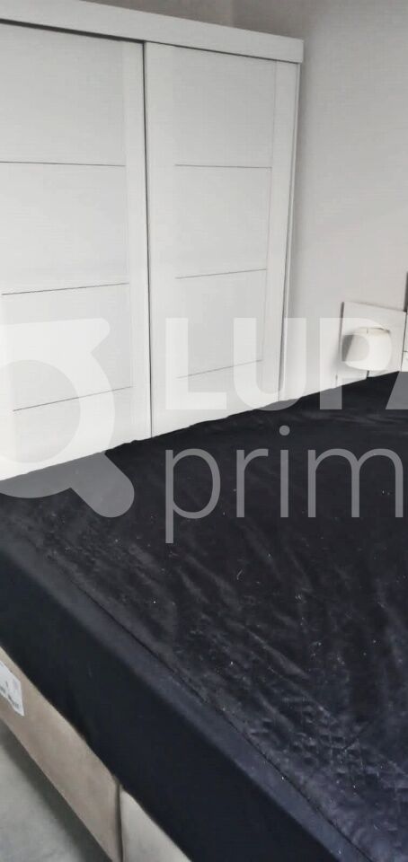 Casa, 3 quartos, 188 m² - Foto 12