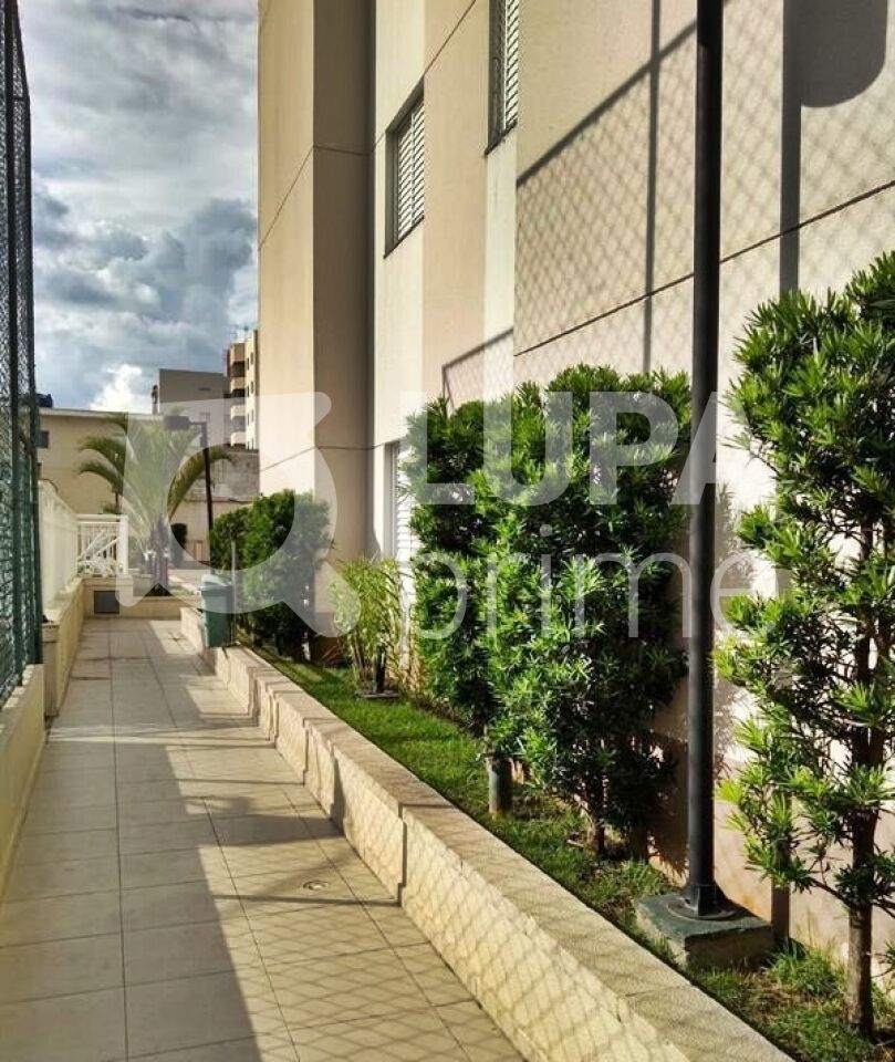 apartamento-venda-sao-paulo-vila-amalia-3dormitorios-1suite-1vaga-55m2-LM25957