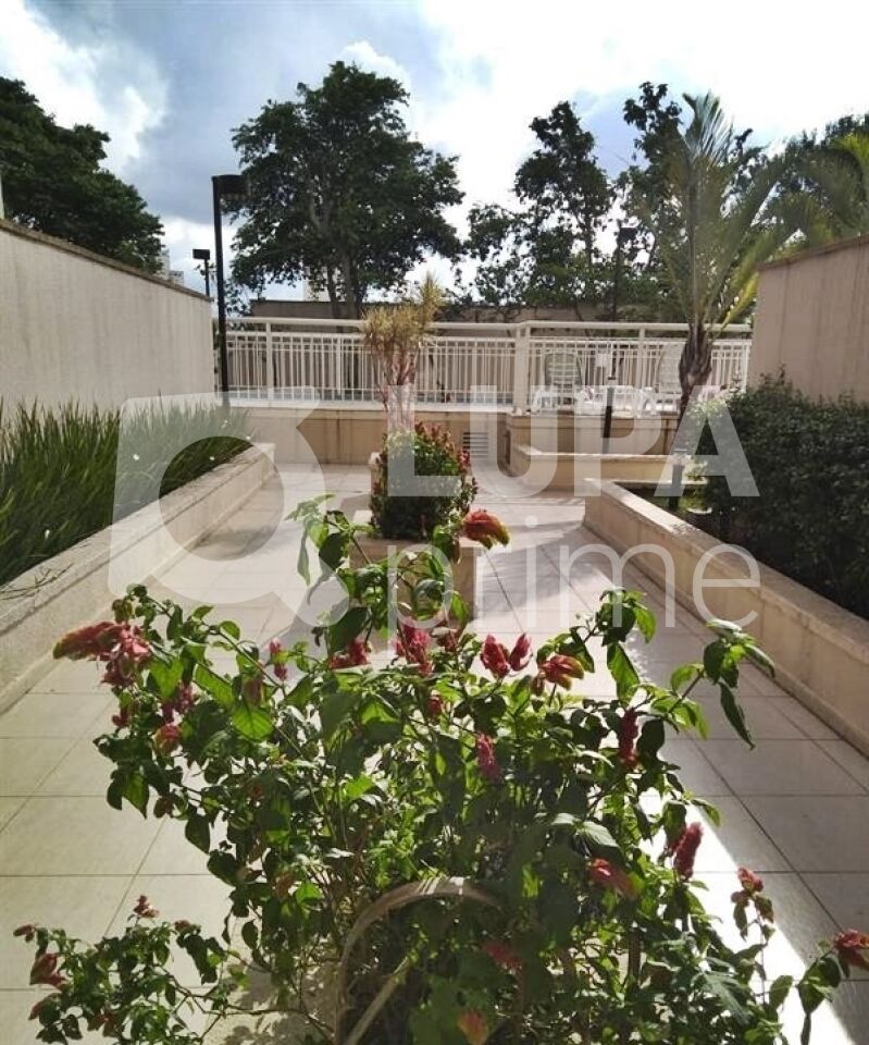 apartamento-venda-sao-paulo-vila-amalia-3dormitorios-1suite-1vaga-55m2-LM25957