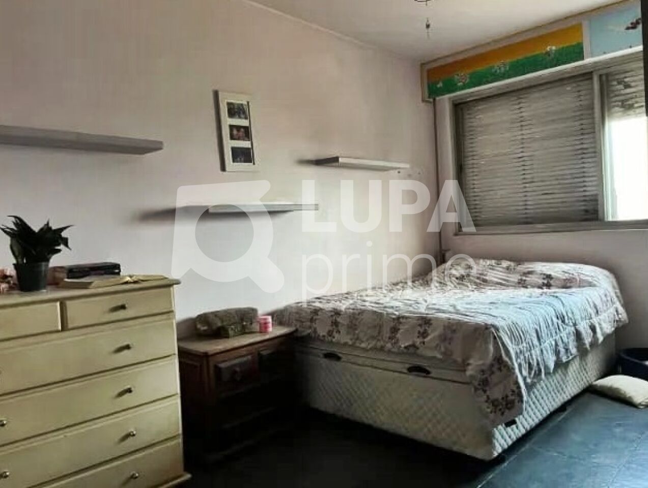 apartamento-venda-sao-paulo-tucuruvi-3dormitorios-1suite-1vaga-100m2-LM26097