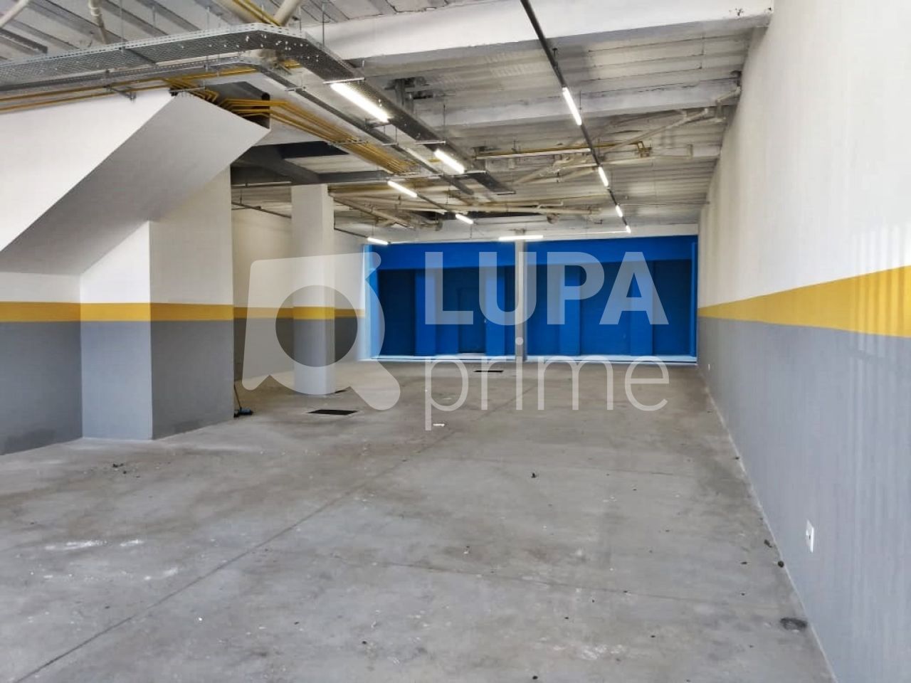 apartamento-locacao-sao-paulo-vila-maria-alta-2dormitorios-50m2-LM26167