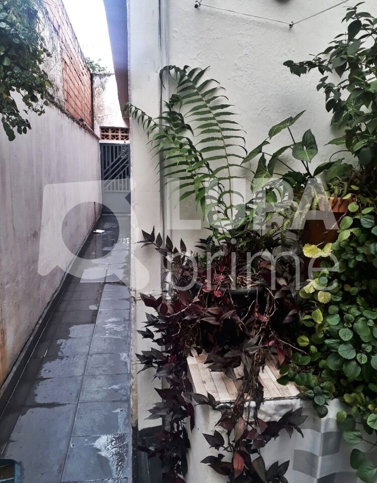 sobrado-venda-sao-paulo-vila-guilherme-5dormitorios-1suite-2vagas-135m2-LM26178