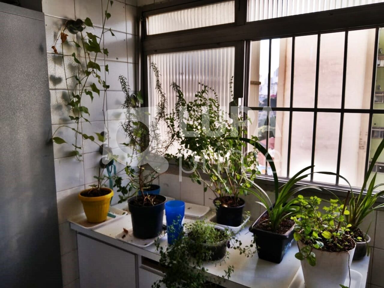 apartamento-venda-sao-paulo-santana-3dormitorios-1vaga-77m2-LM26181