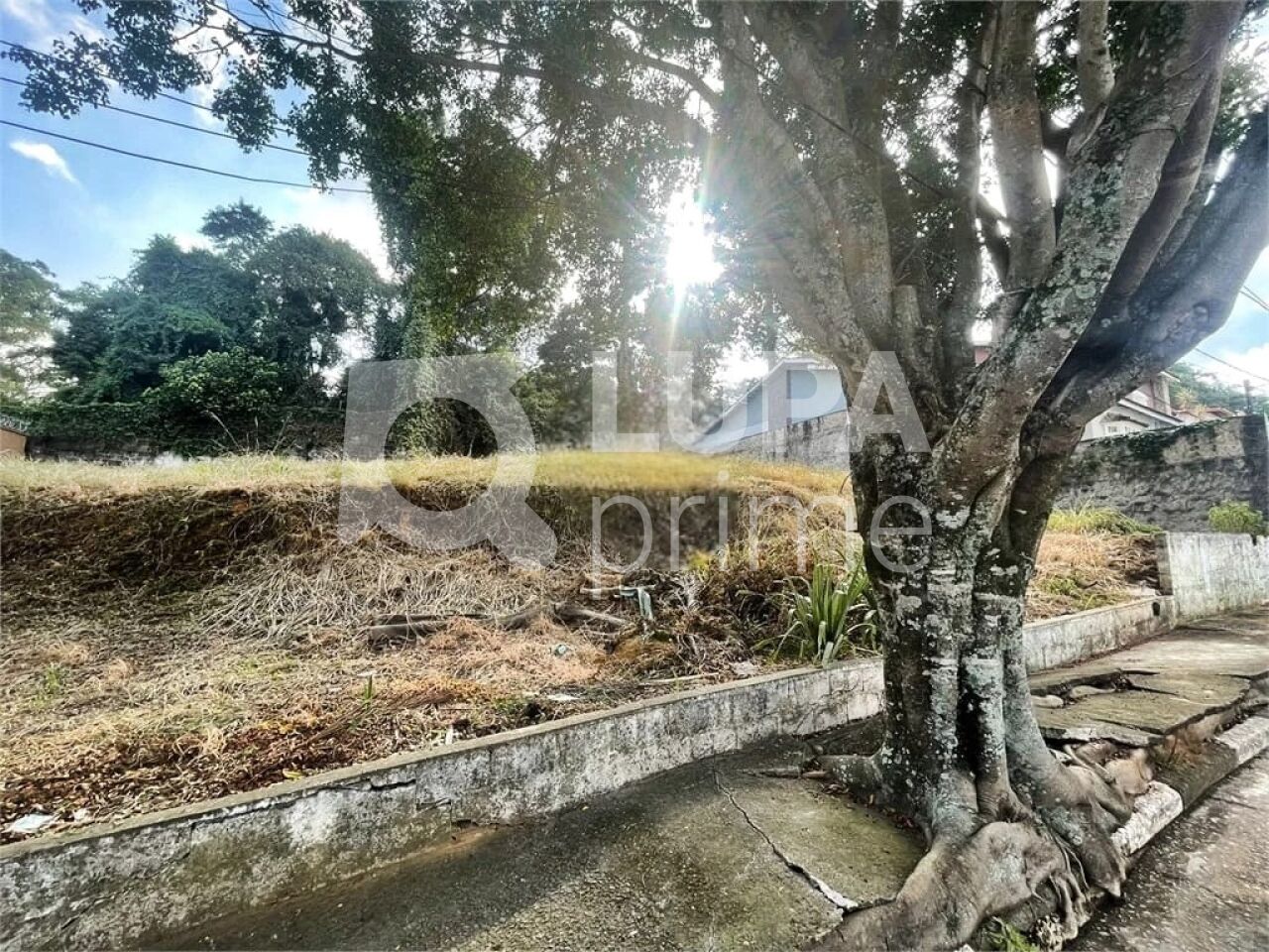 terreno-venda-sao-paulo-tremembe-LM26215