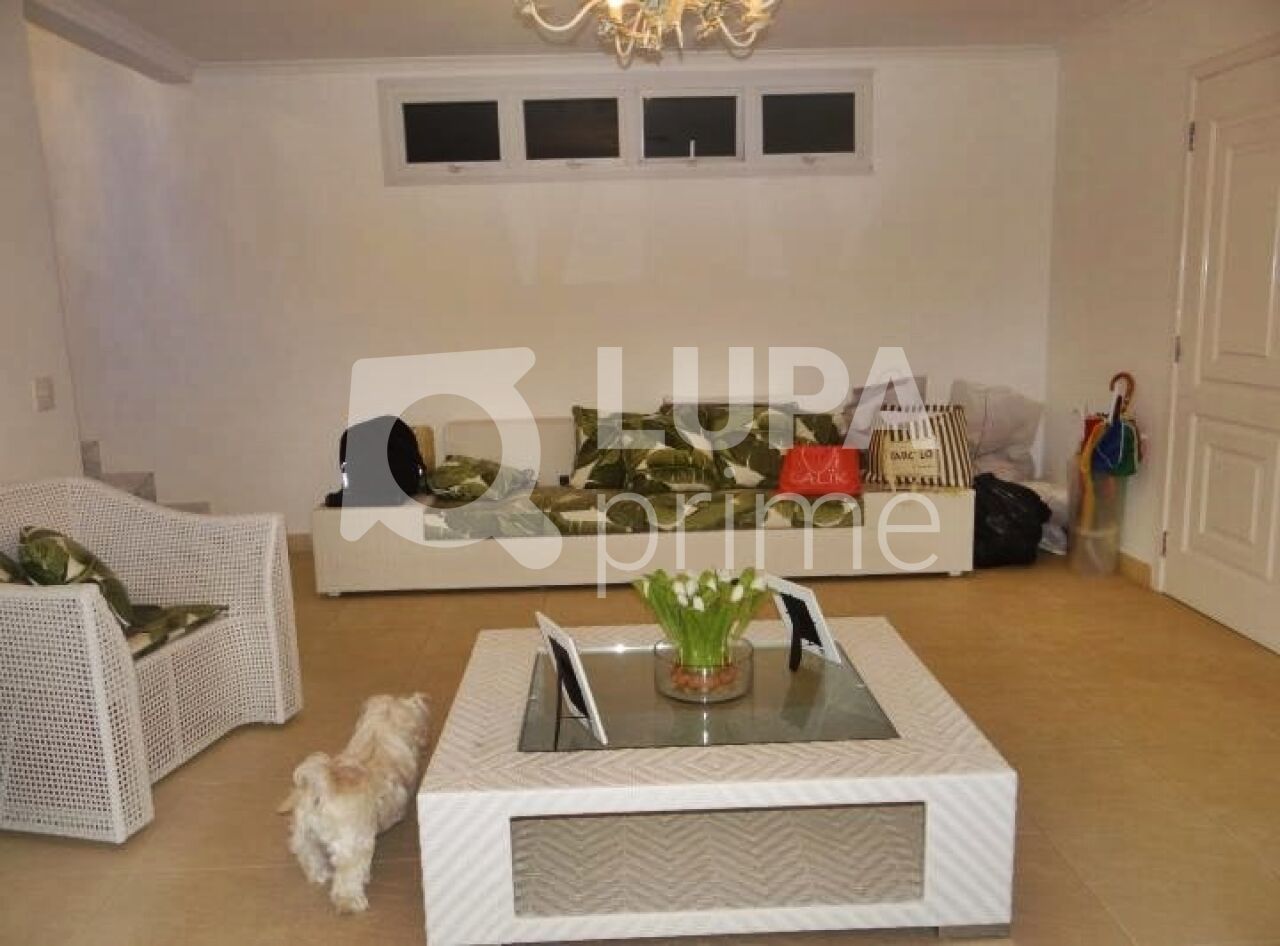 Casa, 4 quartos, 650 m² - Foto 6