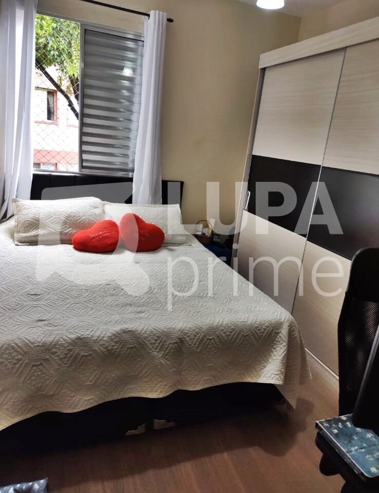 apartamento-venda-sao-paulo-vila-constanca-3dormitorios-1vaga-86m2-LM26334