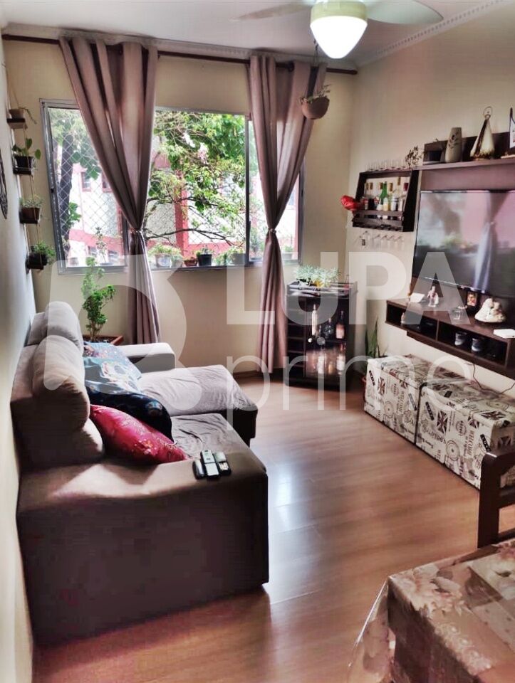 apartamento-venda-sao-paulo-vila-constanca-3dormitorios-1vaga-86m2-LM26334