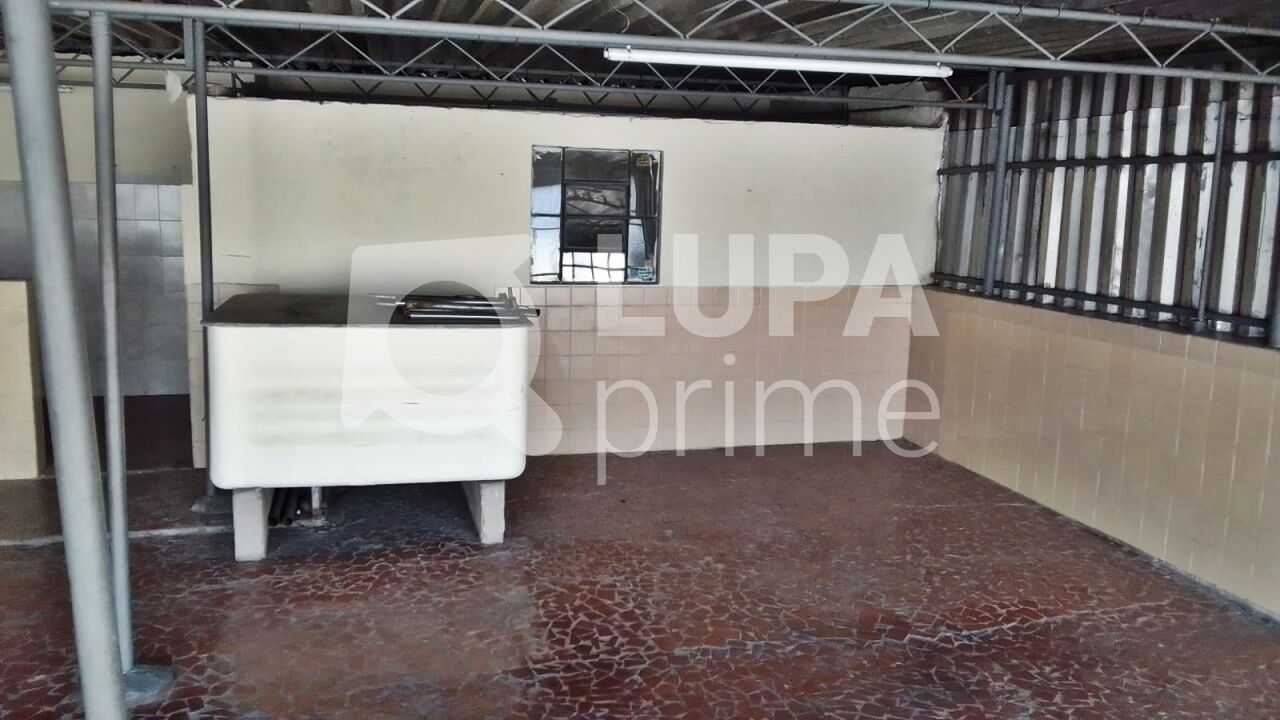 casa-terrea-locacao-sao-paulo-parque-edu-chaves-3dormitorios-70m2-LM26416