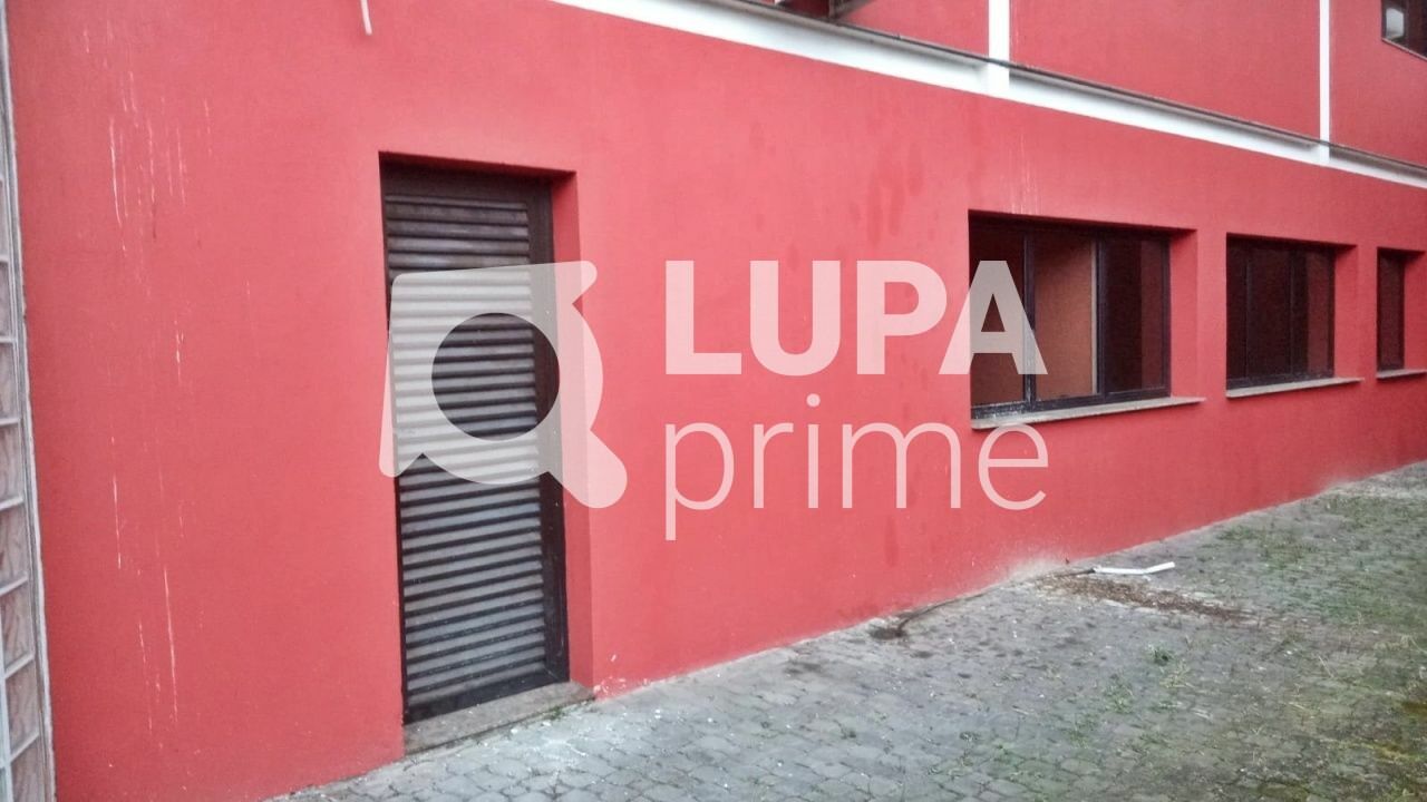 predio-locacao-sao-paulo-vila-maria-alta-8vagas-565m2-LM26458