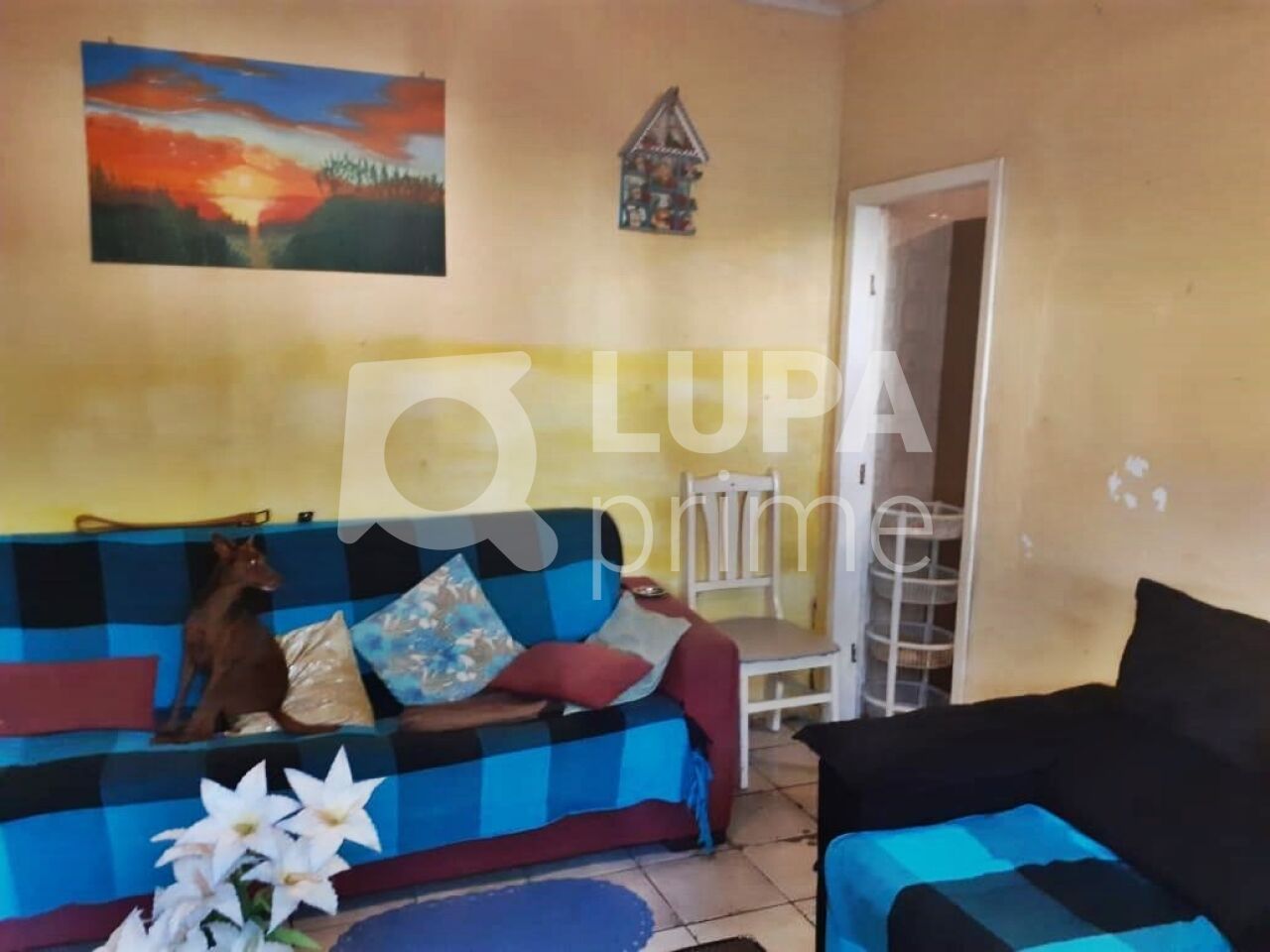 casa-terrea-venda-sao-paulo-vila-maria-alta-2dormitorios-1vaga-81m2-LM26572