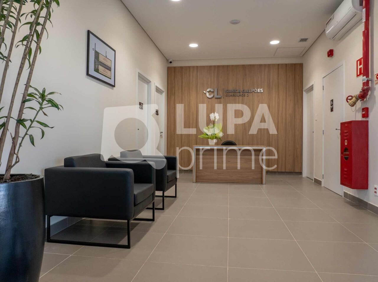 Depósito-Galpão, 2199 m² - Foto 3