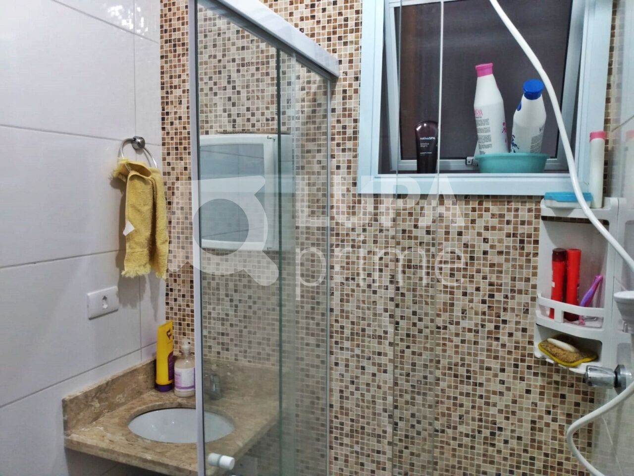 apartamento-venda-sao-paulo-tucuruvi-1dormitorio-28m2-LM26666