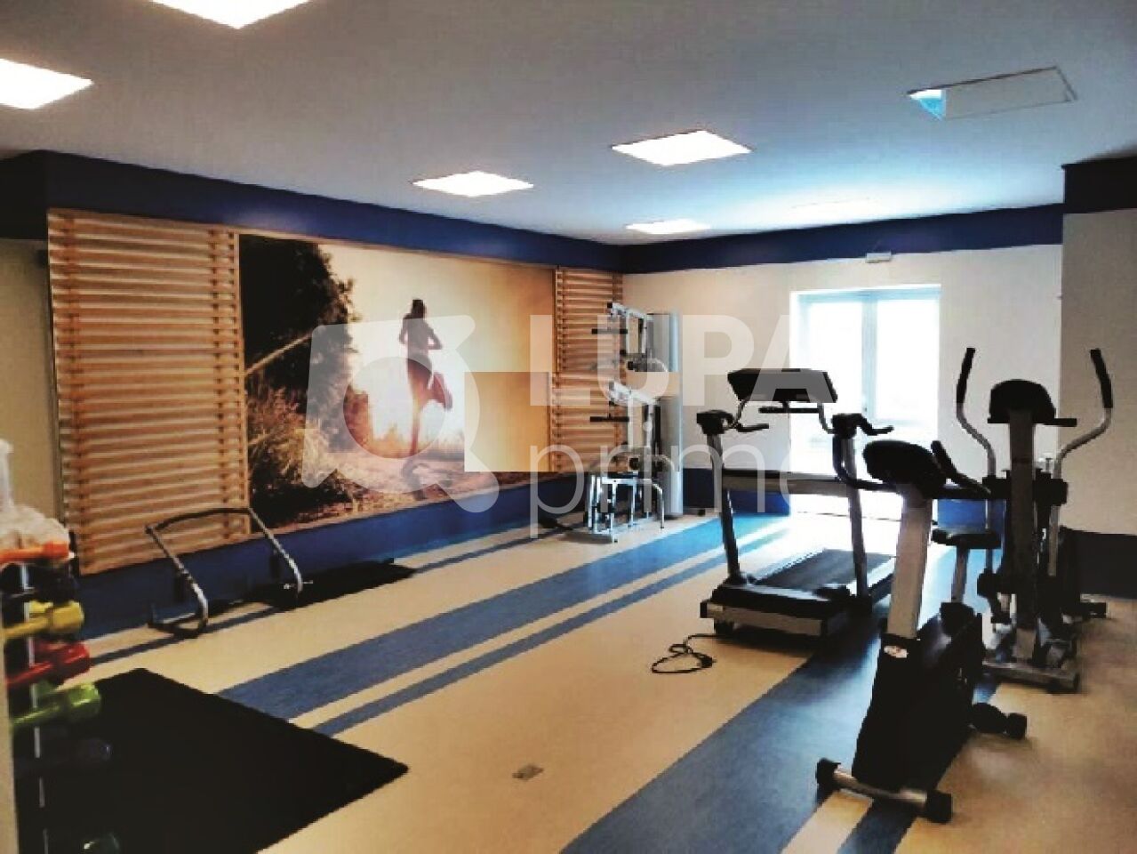 Apartamento, 3 quartos, 73 m² - Foto 19