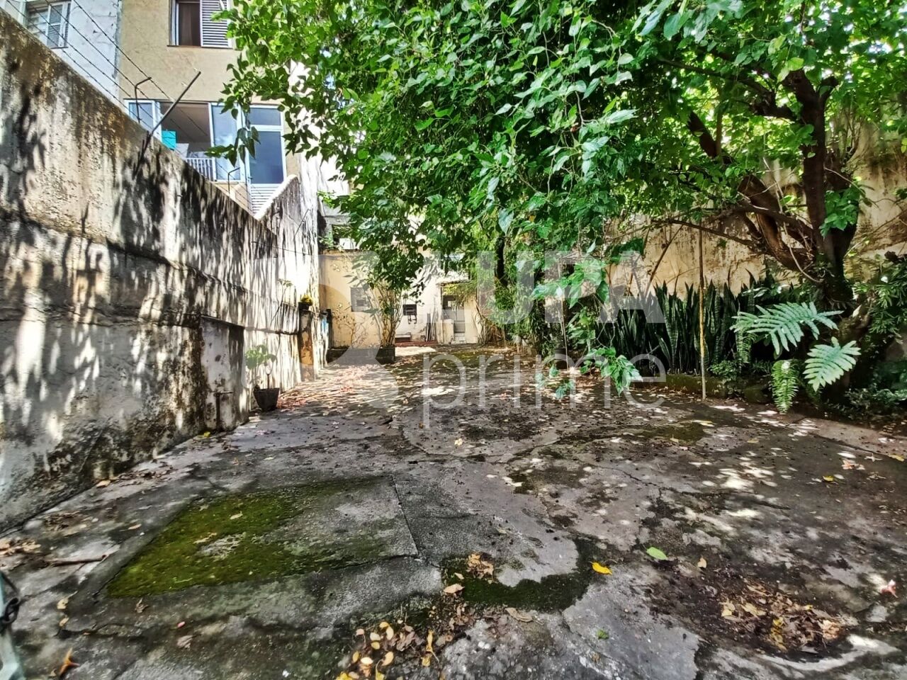 sobrado-venda-sao-paulo-vila-guilherme-5dormitorios-3vagas-188m2-LM26803