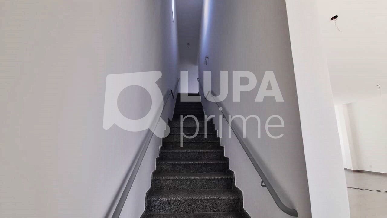 conj-comercial-locacao-sao-paulo-tucuruvi-438m2-LM26928